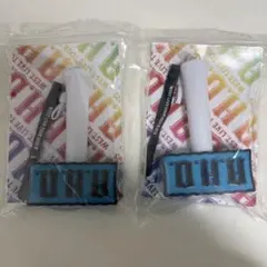 WEST. 2025 A.H.O. ペンライト2本セット