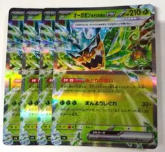 オーガポンみどりのめんex RR 4枚