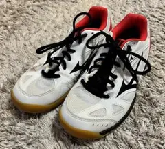 MIZUNO 배드민턴 신발 화이트×블랙 22 cm