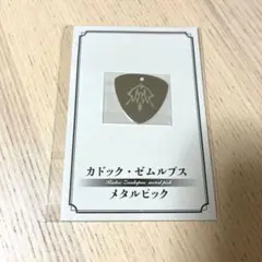Fate/Grand Order FGOフェス 2025 カドック メタルピック - メルカリ
