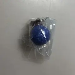 ONEPIECE めじるしアクセサリー　ゴムゴムの実