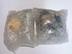 ALIEN STAGE エイリアンステージ エイステ ねんどろいど ルカ ヒョナ