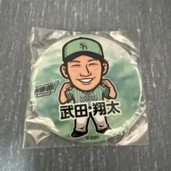 福岡ソフトバンクホークス 武田翔太 缶バッジ