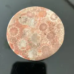Sachiさま専用フォッシルコーラル　プレート　天然石置物　Z248
