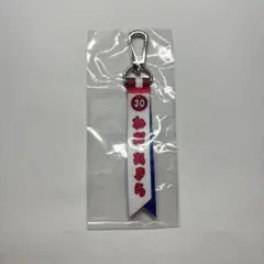 中日ドラゴンズ 根尾昂 ミニボンフィン