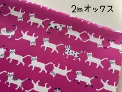 2m　猫　ネコ　オックス　コッカ　 KOKKA　ピンク　A249