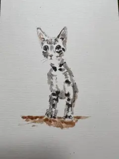 猫の水彩画（フレーム付き）nan-284