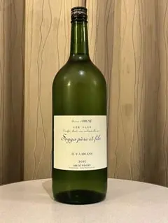 2026年最新】ソガペールエフィス イリヤソントンの人気アイテム - メルカリ