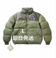 PALACE North Face Field Down Jacket