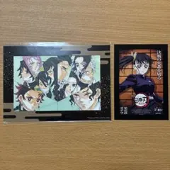 鬼滅の刃 無限場編来場者特典　栗花落カナヲ