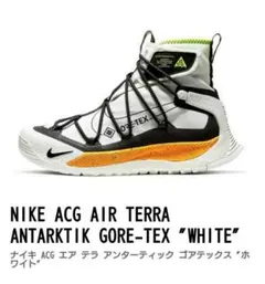 2025年最新】nike acg air terra antarktik goreの人気アイテム - メルカリ