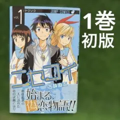 2026年最新】初版 ニセコイの人気アイテム - メルカリ
