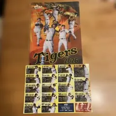 阪神タイガース 2014 クリアファイル 2枚セット - メルカリ