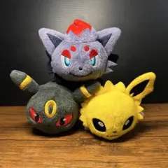2026年最新】ころりんフレンズ ブラッキーの人気アイテム - メルカリ
