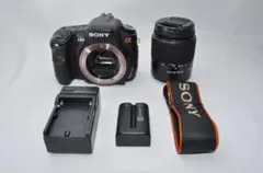 2026年最新】Sony α200 DSLR-A200の人気アイテム - メルカリ