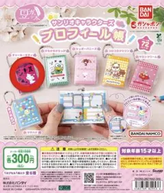 サンリオキャラクターズプロフィール帳 チャーミーキティ