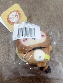 ちいかわ たぬきだもんくじ ラッコ Ｃ賞