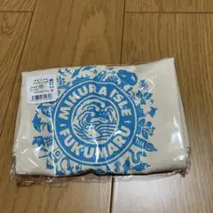 Item thumbnail for item b08c40f9-d189-46b4-bb4f-29984f794545