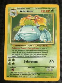 フシギバナ Venusaur 英語版 シャドーレス - メルカリ