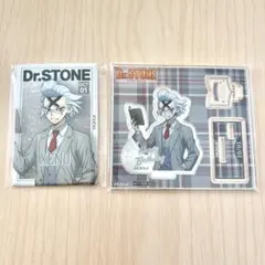 Dr.STONE Dr.ゼノ 読書の秋 くじ引き堂 アクリルスタンド 缶バッジ
