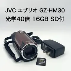 2026年最新】GZ-HM30の人気アイテム - メルカリ
