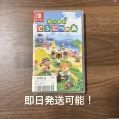 あつまれどうぶつの森 NintendoSwitch