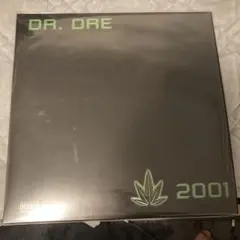 Dr. Dre 2001 レコード
