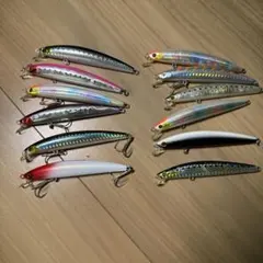 ショアラインシャイナー12本セットのサムネイル