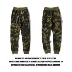 A BATHING APE×UNDEFEATED スウェットパンツ