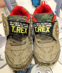 Item thumbnail for item d34bda68-de61-4fcf-9e32-6e3602c2b528