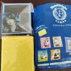 ●Novelbright圭吾●びっくらたまご マグネットミュージアム