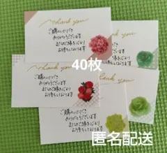 Item thumbnail for item 1e6181d4-4141-4c56-bccc-f03d9b244d20