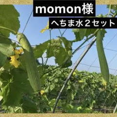 Item thumbnail for item 7b99b1a6-f41b-410f-9406-7935723fd842