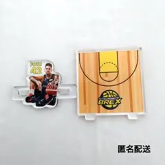 宇都宮ブレックス　2025-26選手おすわりminiアクリルスタンドフォトゥ選手