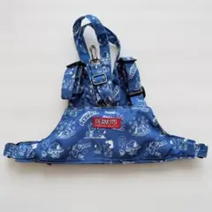 Item thumbnail for item c0c75999-1e71-434f-809b-32c24af0c8aa