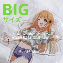 十王星南 BIGアクリルスタンド ROUND1 コラボ オンライン限定 未開封