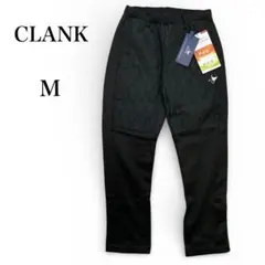 Item thumbnail for item 578c9d36-9912-4ea1-aed1-1979ef511e5c