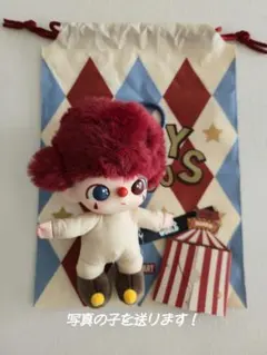 POPMART WHY SO SERIOUS DIMOOディムー【服・帽子なし】