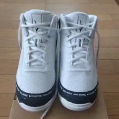 Item thumbnail for item 973ade53-671c-40ef-bc1e-c188207fd383