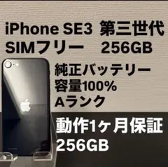 極美品 256GB Apple iPhone SE3 第三世代 日本版