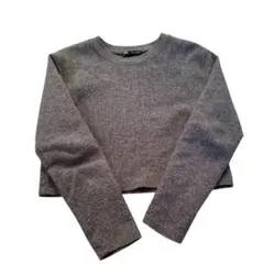 ZARA グレー クロップドトップス 長袖　S