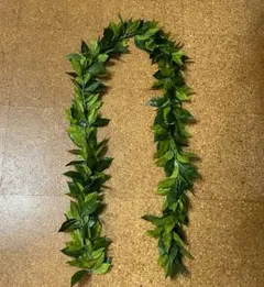 マイレレイ　①