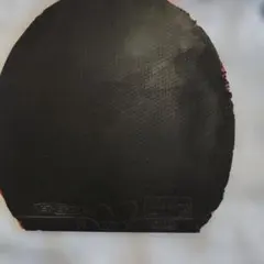 Item thumbnail for item f0df308c-654f-4b52-800e-f1d8988c7799