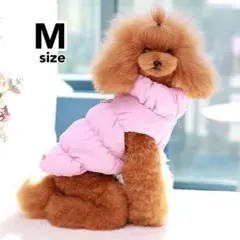 Item thumbnail for item c013d13e-7ef9-4b5b-9d95-017d34451535