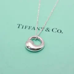 美品 Tiffany&Co ティファニー エターナルサークル シルバーネックレスのサムネイル