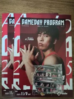 Item thumbnail for item 4712c6de-0e63-4b38-a407-73affb7c1e46