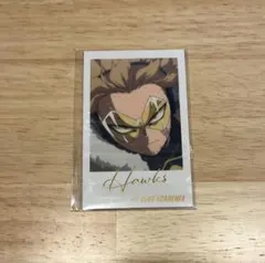 ヒロアカ Wフォトカードコレクション ホークス