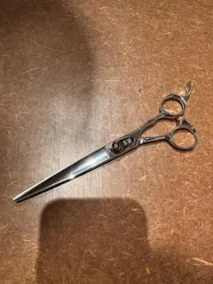 Item thumbnail for item 18131bb4-29ee-4e53-8e07-bebf3774281c