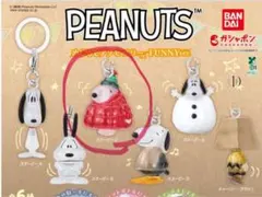 PEANUTS めじるしアクセサリー FUNNY ver.