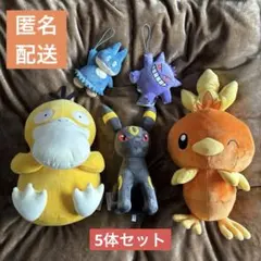 【新品タグ付】ポケットモンスター ぬいぐるみ 5体セット④【まとめ売り】